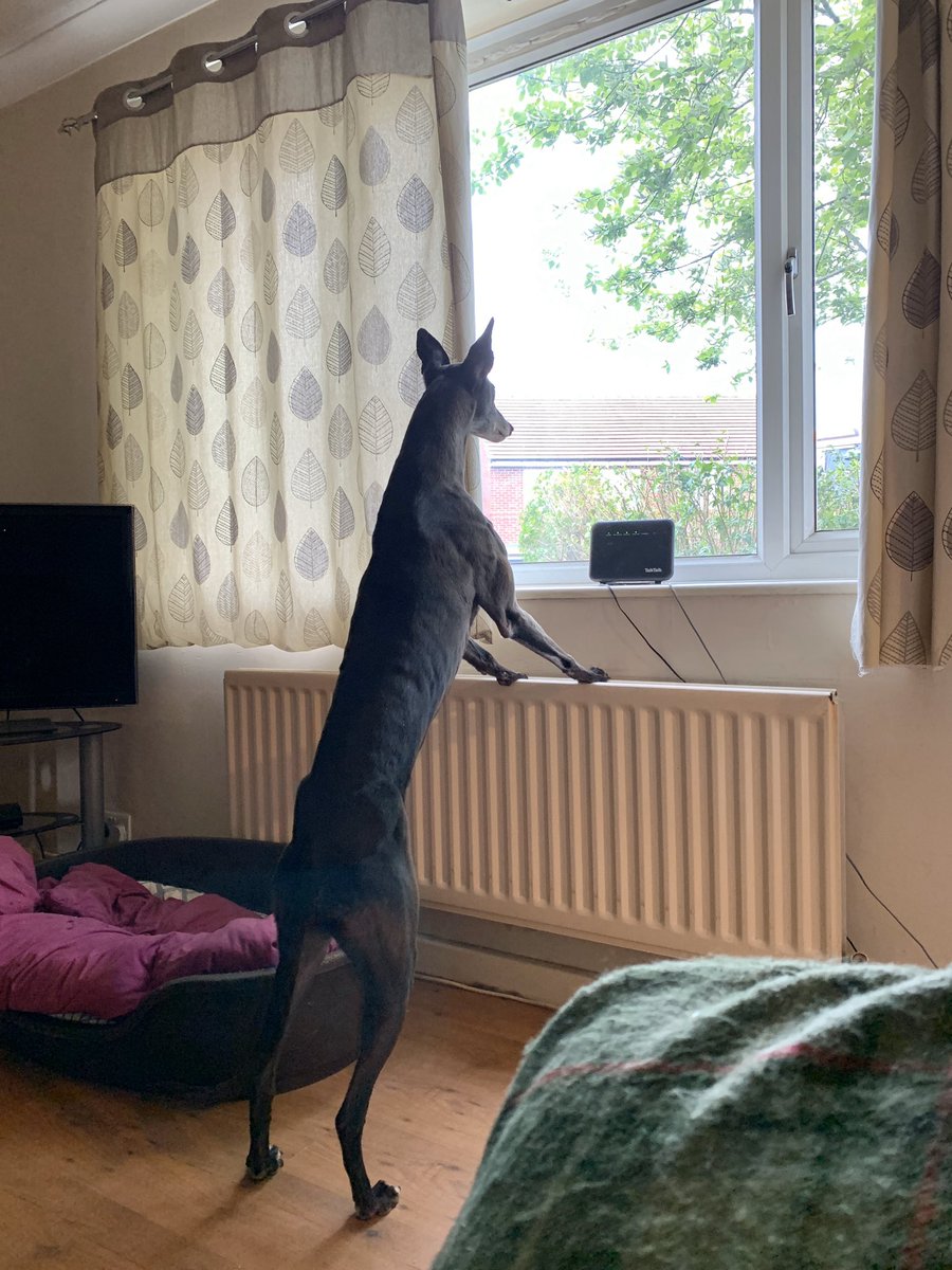 NellyDaisyLoaf's tweet image. (D) BIN LORRY #stayingalert