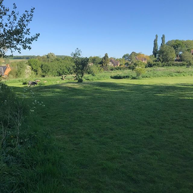 JubileeField's tweet photo. I love where we live. My early morning walk #villagelife #socialdistancing #openspaces #birdsong

📸 https://t.co/OZ4P57uggk via https://t.co/S6oPXWuS1I https://t.co/YH6uFBTqIC