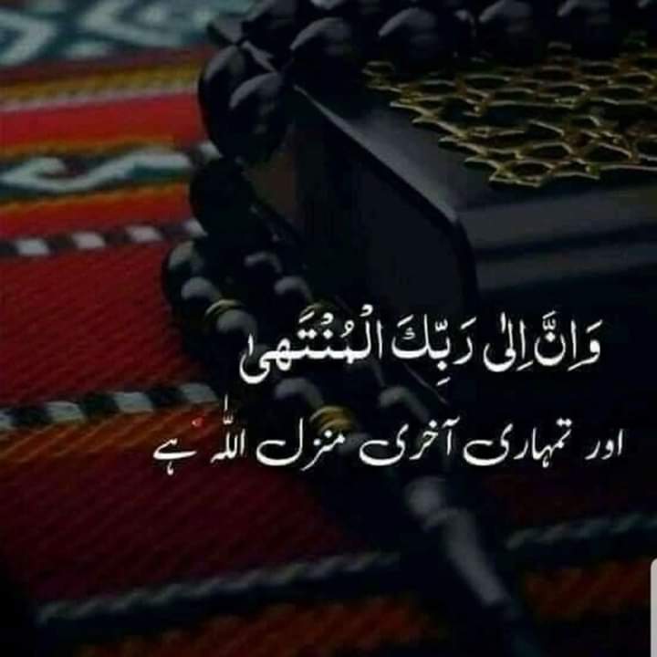 SyedaZainb's tweet photo. #NewProfilePic https://t.co/L3AYWkUyrV