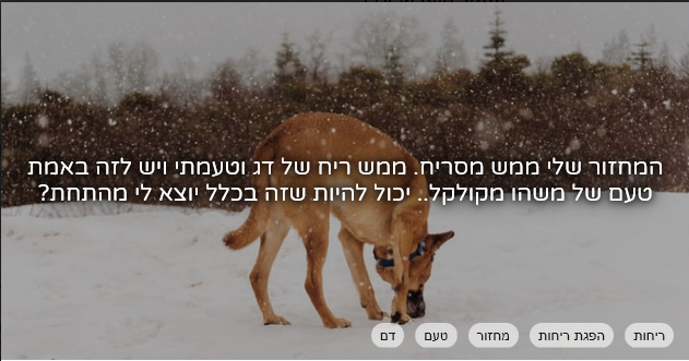 הכנסייה היהודית tweet media