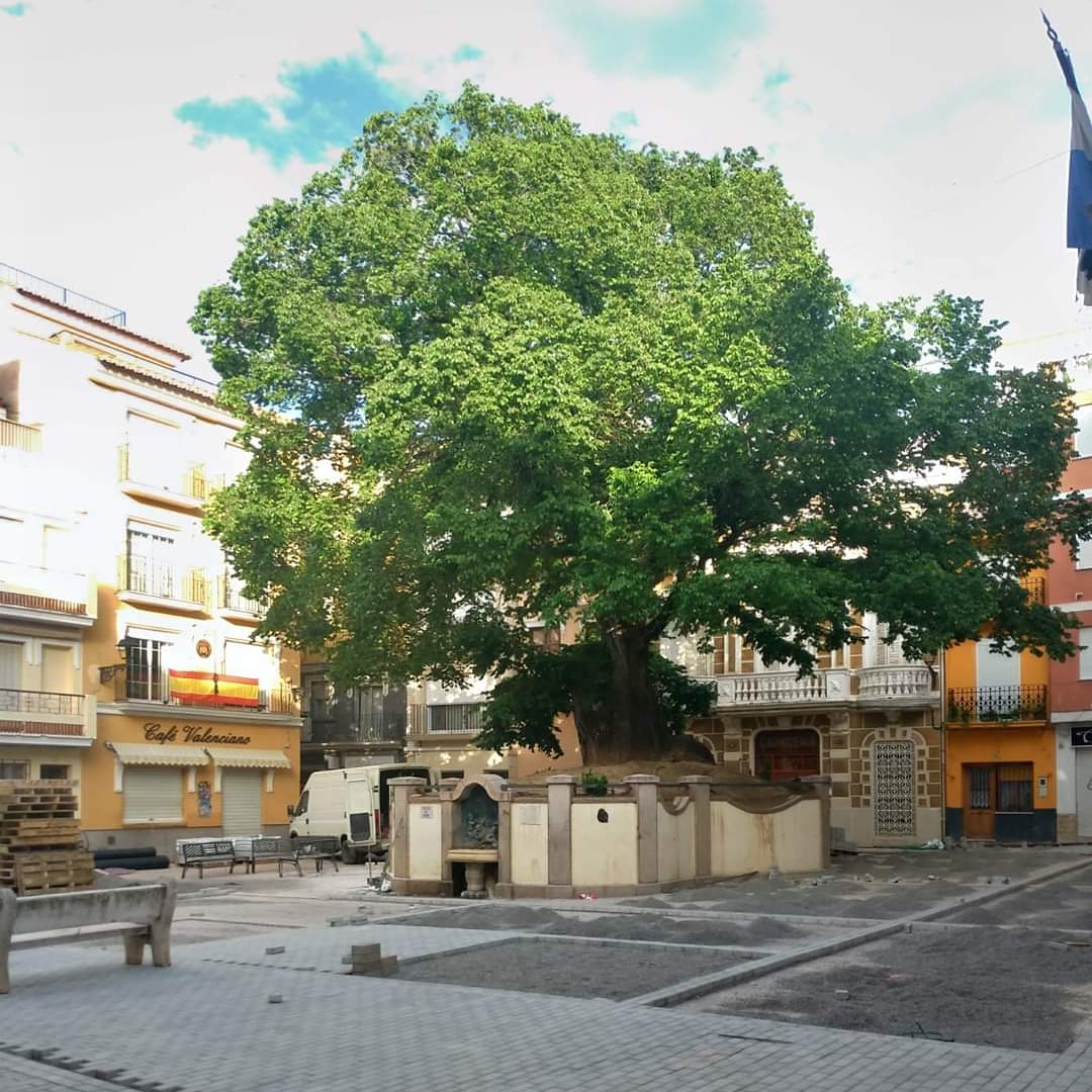 NavajasOlmo's tweet photo. #Resitiremosyvenceremos

Avanza la #primavera, un día menos para veros a tod@s en la plaza. 👨‍👩‍👧‍👦💞🌳💞👨‍👩‍👧‍👦 #Yaquedamenos

📣 Mientras #Quédateencasa 🙋🏻‍♀️🏘️🙋🏼‍♂️
¡¡Os espero pronto!! 💚 #OlmodeNavajas

#EsteVirusLoParamosUnidos #CoronaVirus #Covid19 #Resistiré #SeguroqueSI 💪🏻🌳 https://t.co/RxnIKACEGC