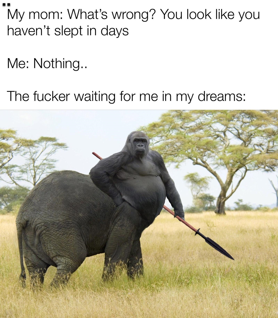 Heart of Memes tweet media