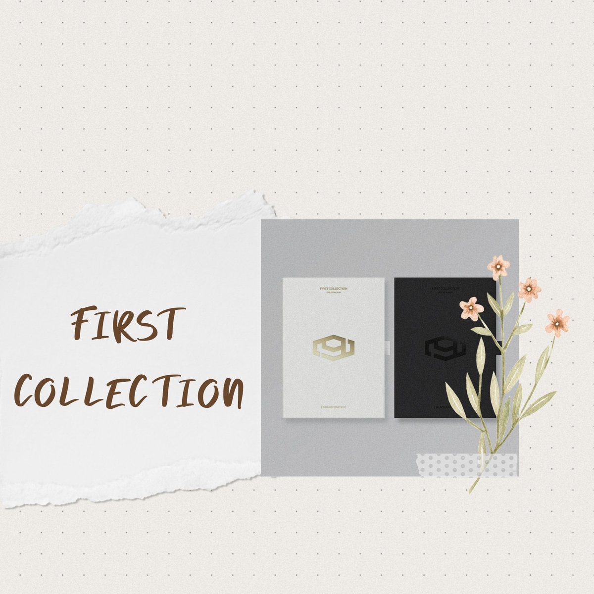 FIRST COLLECTION860 - EACH VERSION-