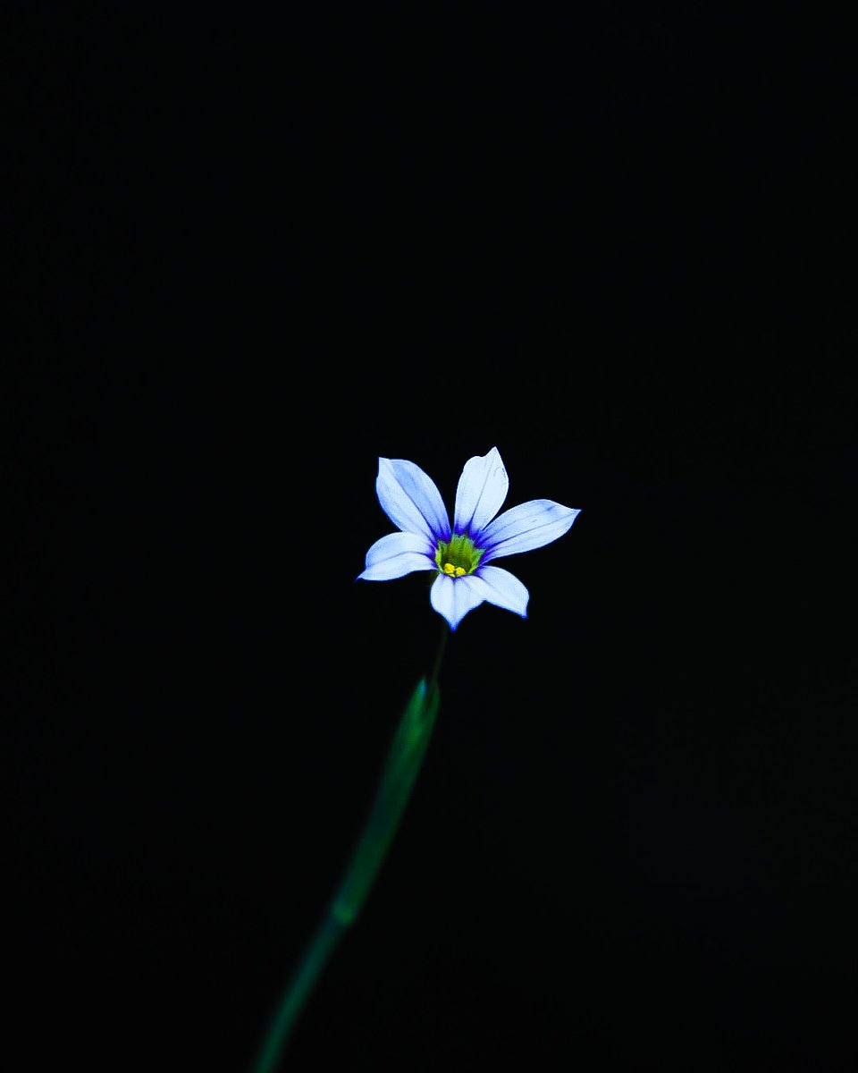 キタムラ写真投稿