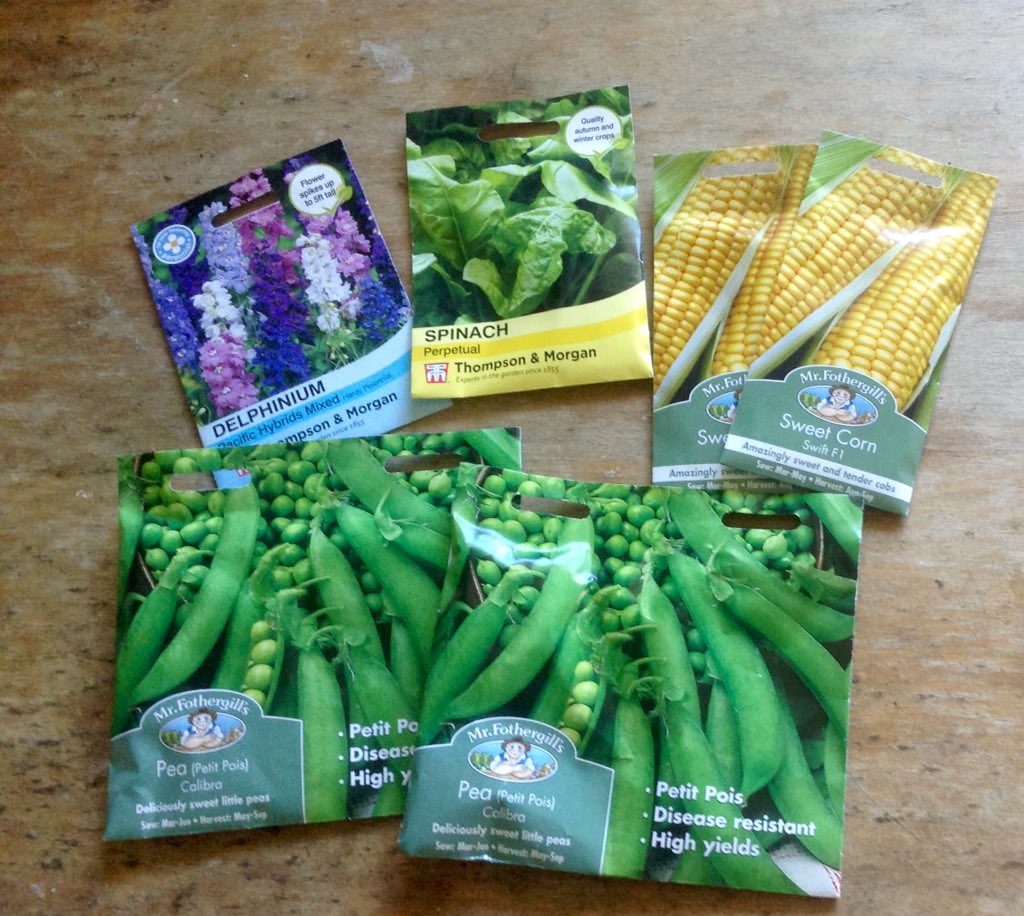 Plants, Seeds & Bulbs Gardening mr fothergills Pea Petit pois calibra