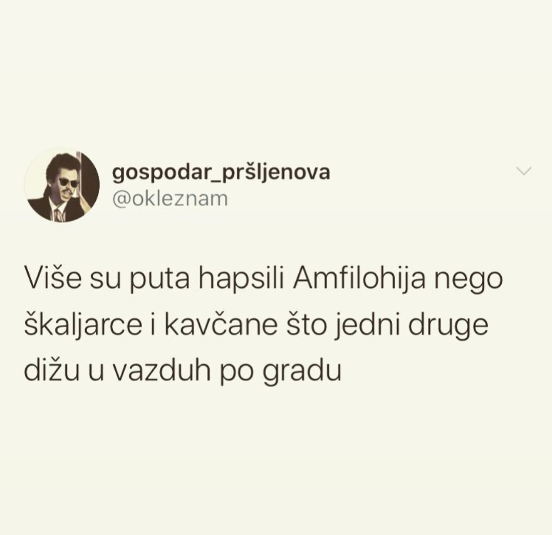 RealnoSamo's tweet image. 