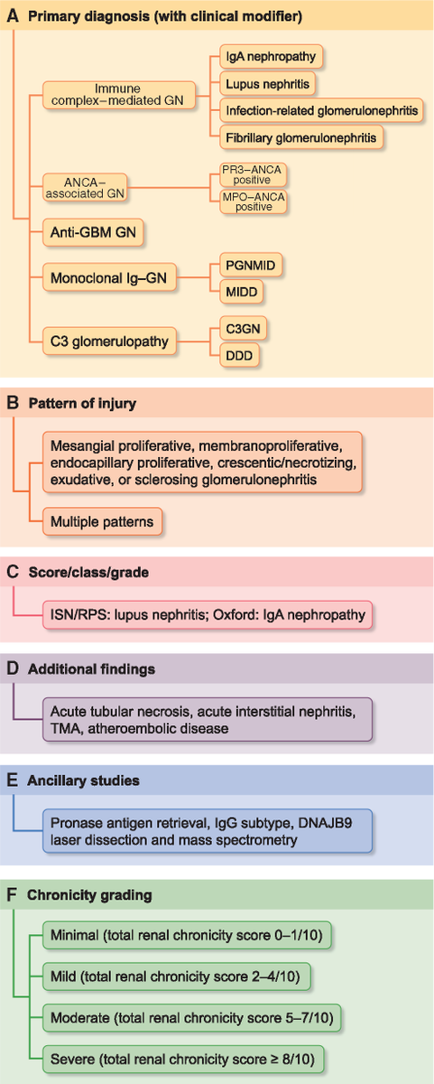 NDTsocial's tweet photo. 👉Overview of standardized classification and reporting of glomerulonephritis.
Read the full Review in #NDT: https://t.co/UiE61fkaud
@SethiRenalPath @fervenzafernan1 #glomerulonephritis https://t.co/msxJELkM8A