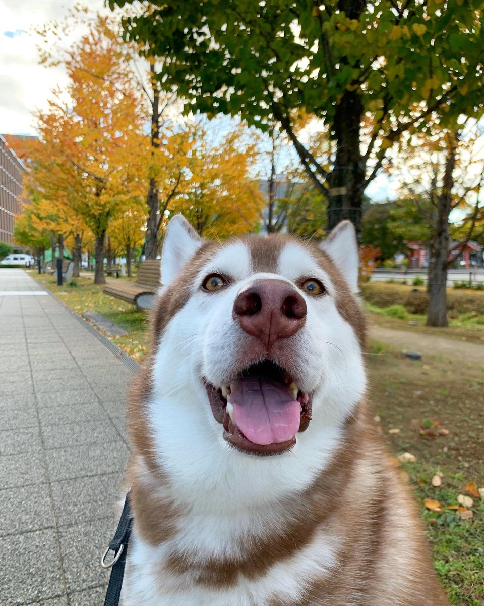 s_s_m_333's tweet image. 🐽🐽🐽🐽
#snootaboop