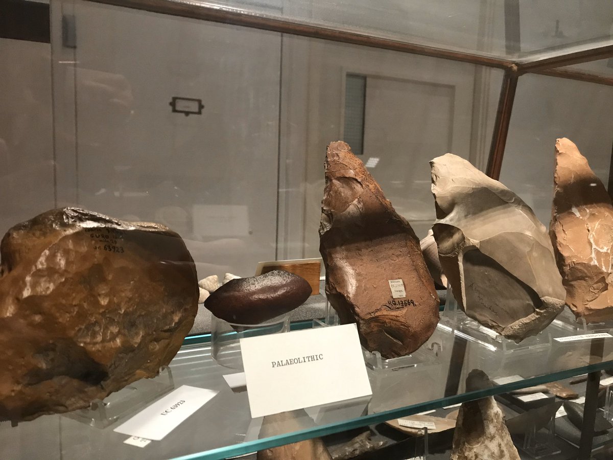 Righto, I’ve just been told that today’s  #MuseumsUnlocked is focusing on Smaller London Museums so here follows a wee thread on  @Petrie 1st up: when considering Ancient Egypt most people don’t consider the Palaeolithic, but here’s some of the collection’s gorgeous handaxes