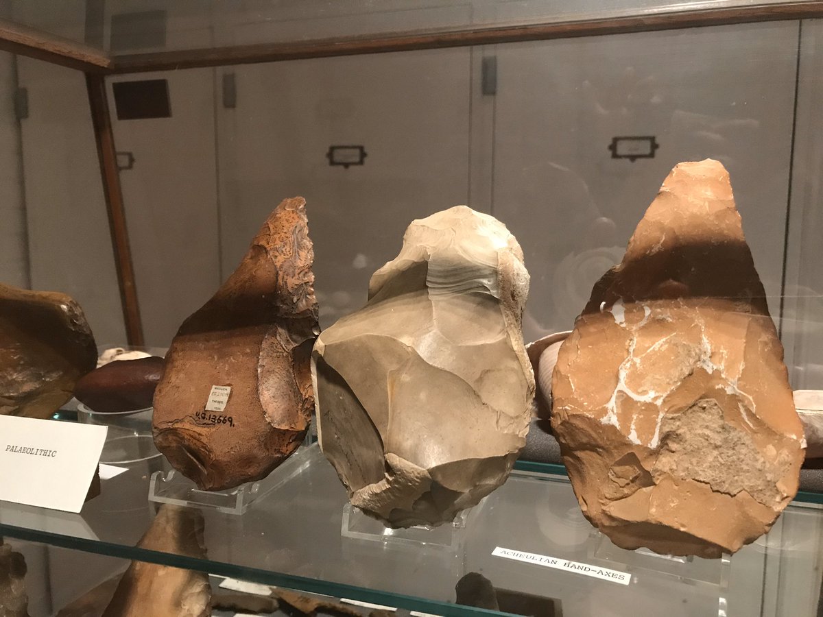 Righto, I’ve just been told that today’s  #MuseumsUnlocked is focusing on Smaller London Museums so here follows a wee thread on  @Petrie 1st up: when considering Ancient Egypt most people don’t consider the Palaeolithic, but here’s some of the collection’s gorgeous handaxes