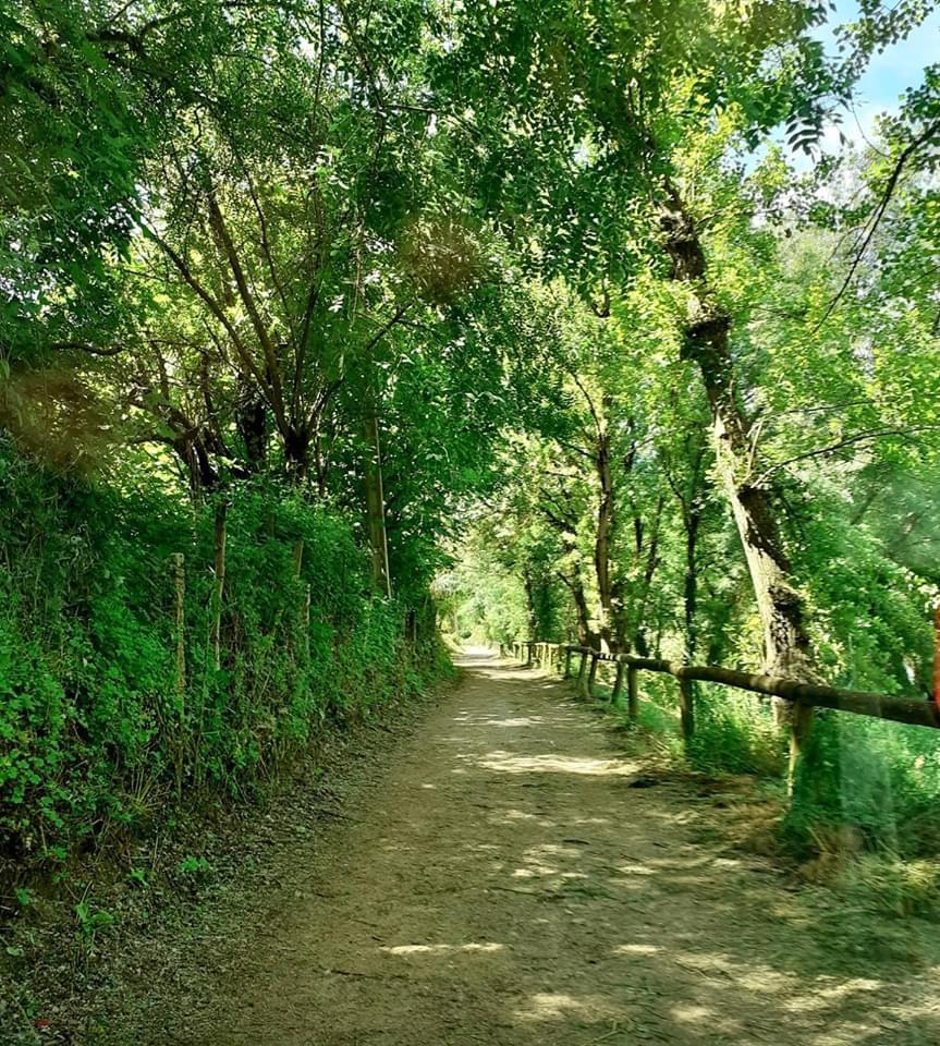 OurenseConcello's tweet photo. O Concello traballa na roza e limpeza de máis de 500.000 m2 da cidade e do seu perímetro rural. As ribeiras dos ríos Miño, Lonia, Barbaña e Barbañica, espazos urbanos coma a avenida Otero Pedrayo... e así ata 70 puntos puntos de intervención e de mellora. https://t.co/tLP8FlhcBW