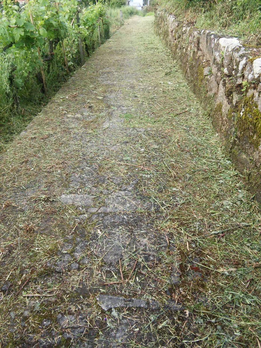 OurenseConcello's tweet photo. O Concello traballa na roza e limpeza de máis de 500.000 m2 da cidade e do seu perímetro rural. As ribeiras dos ríos Miño, Lonia, Barbaña e Barbañica, espazos urbanos coma a avenida Otero Pedrayo... e así ata 70 puntos puntos de intervención e de mellora. https://t.co/tLP8FlhcBW