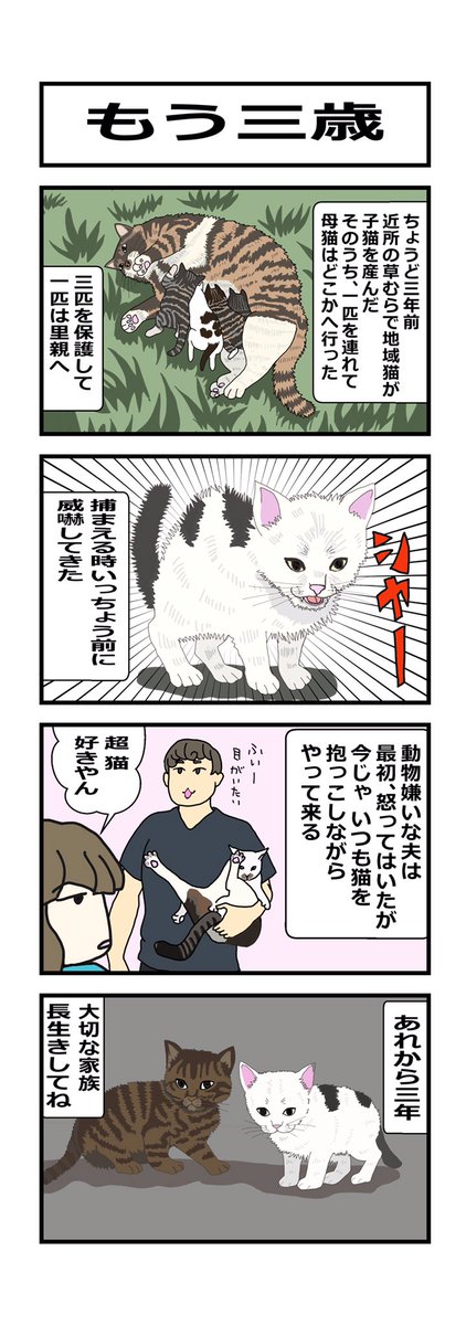 くまみ Kumamineko Twitter