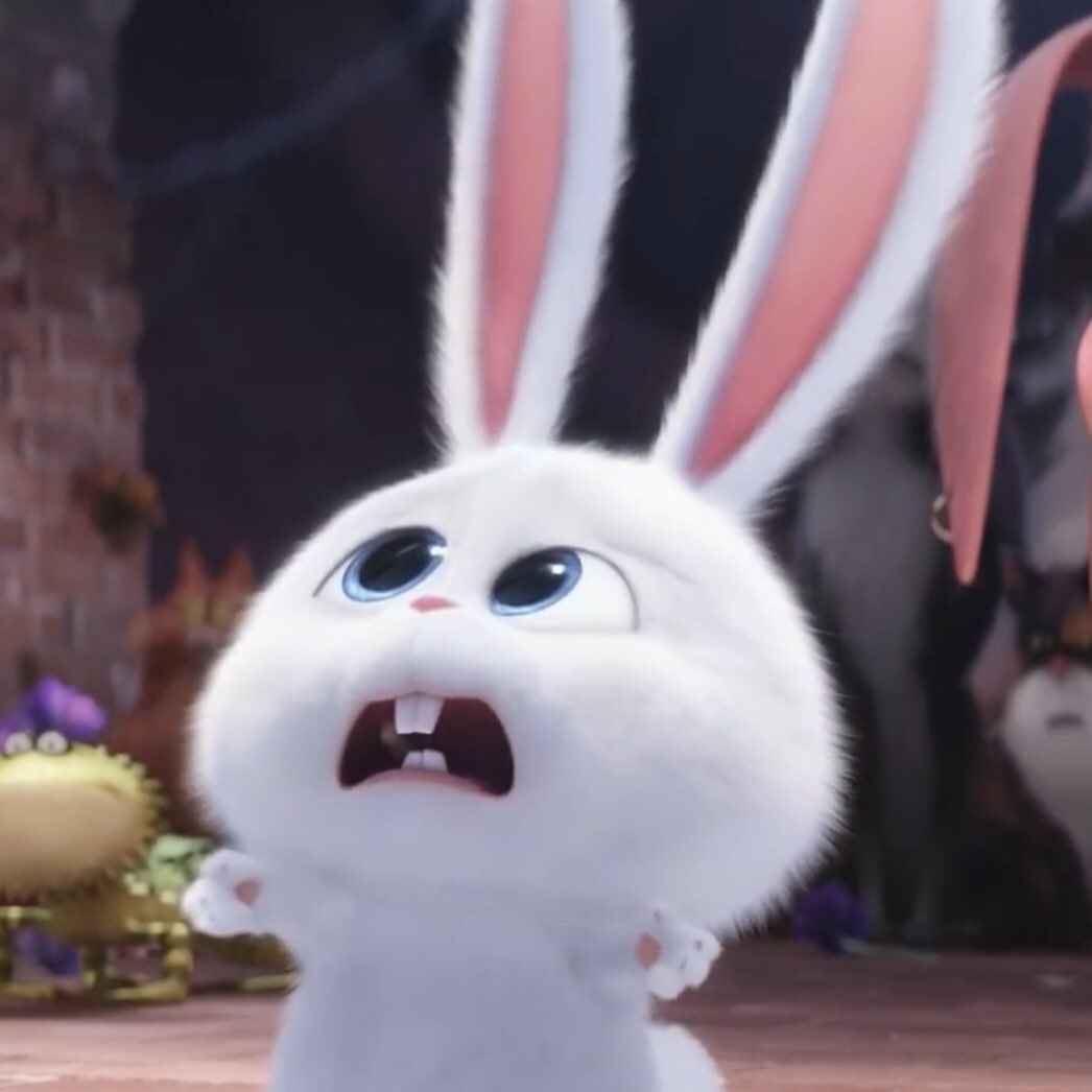 🐰