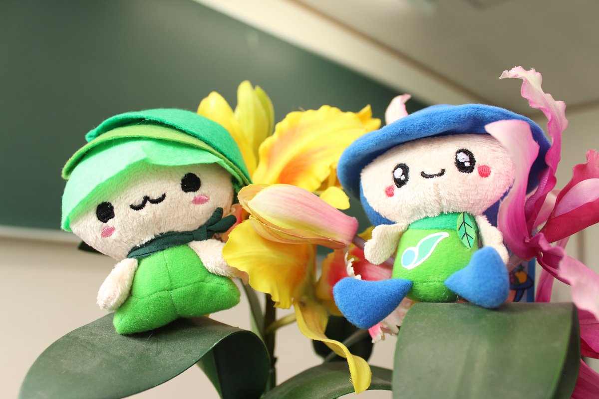 公式 学校法人 神奈川経済専門学校 相模原まめ知識 教室での一枚 皆さん何のキャラクターかご存知でしょうか 答えは 左 緑区イメージキャラクター ミウル 右 相模原市マスコットキャラクター さがみん でした 市内イベントなどで