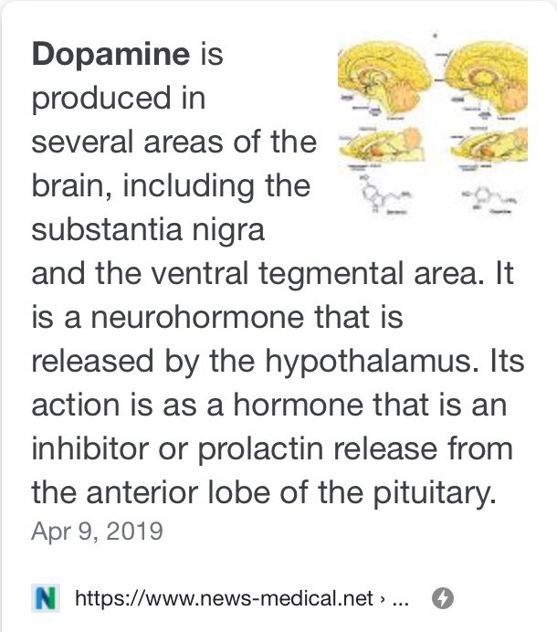 *Dopamine is produced in the “Substantia nigra”  that’s “black” due to high levels of *neuromelanin. Which protects the neurons from iron-induced oxidization/deteriorationCan’t make this up Albino recessive & melanin deficient. Which is the  to  go fig that one bud 