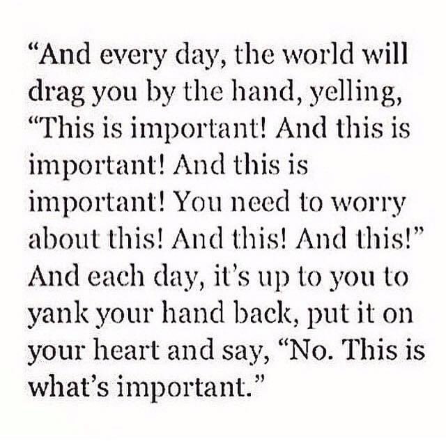ArboretumAlix's tweet photo. Good morning ♥️ https://t.co/az4jNPIYKI