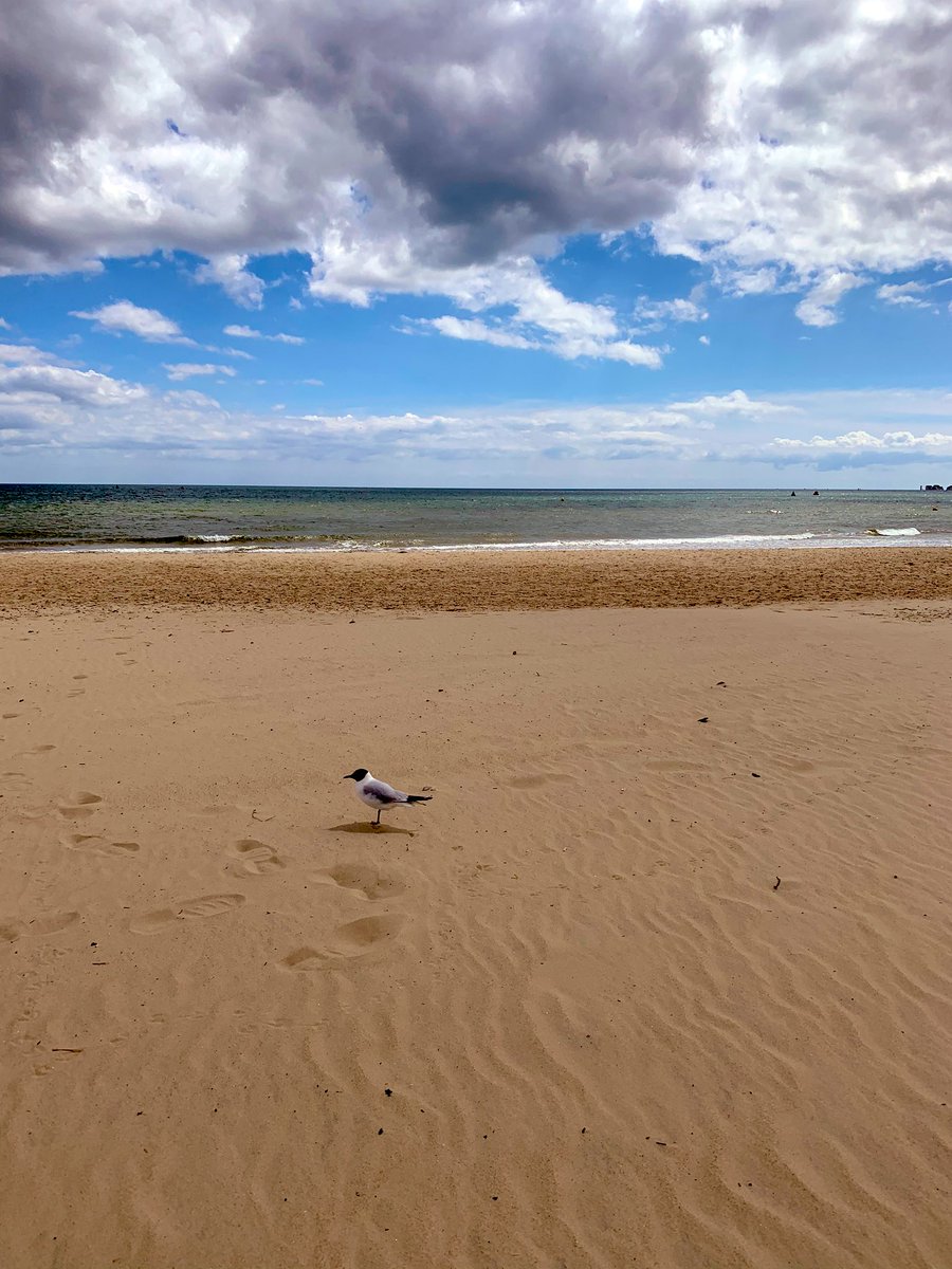 shinybluedress's tweet photo. We live a short drive away from many beautiful beaches &amp; we’ve never taken this fact for granted.

Never more so today 
#NewAppreciation 

❤️Dorset 💙The Sea 💛The Beach
#day48oflockdown
#NewNormal
#StayAlertControlTheVirusSaveLives https://t.co/Tb7Le4t1m4