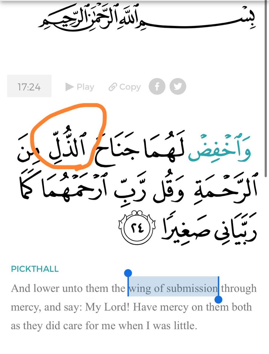 3) Yet, how does God instruct us to treat our parents? “Lower unto them the wing of الذل (al-Dhull).” (17:24). Meaning, treat your parents obediently and kindly as if you were a contemptible, submissive, & dependent slave. A ذليل.