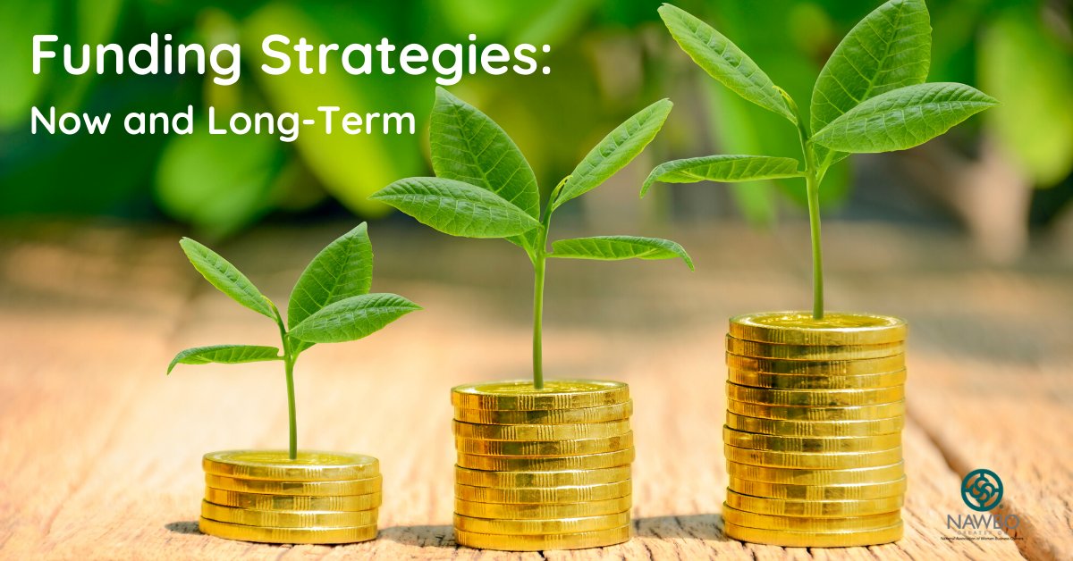 Today at 11:30am! Join us online as Craig Engelhaupt, Senior SBA Relationship Manager at M&amp;T Bank, discusses "Funding Strategies for Now &amp; Long Term." This is the webinar every small business owner needs! #NAWBO #smallbusinessowner ow.ly/yjUa50zF66K