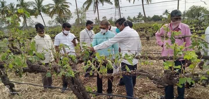 ASNyamagouda's tweet photo. Visited Chikkalaki village along with horticulture officers to survey  the losses borne by the farmers due to untimely hail storm. Instructed the officers to submit a report for compensation to the affected farmers https://t.co/hqp8Iip9MP