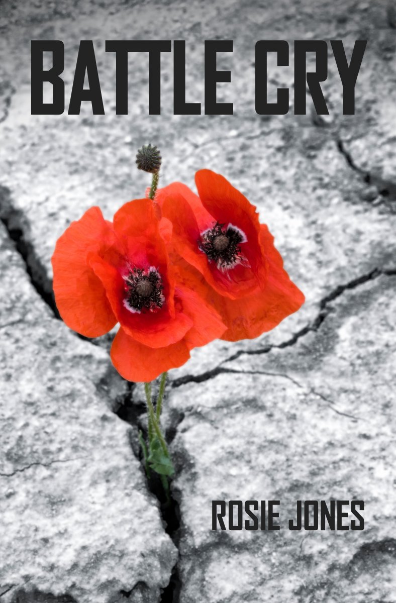 BlossomSpring3's tweet photo. Congratulations to author Rosie Jones on the release of her debut novel Battle Cry, out on sale today!! 🥳🍾 https://t.co/GxVjqUCAhB