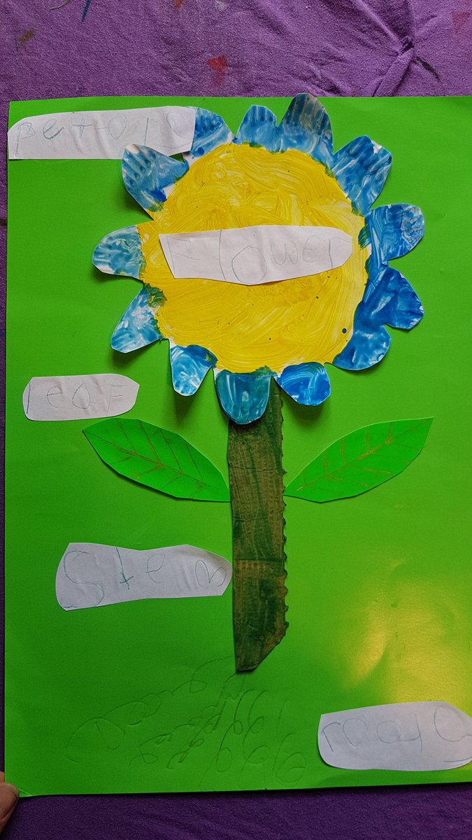 OriginalSHunter's tweet photo. Effie's flower she made and labelled @CwmbachPri https://t.co/6gvQjbFpa4