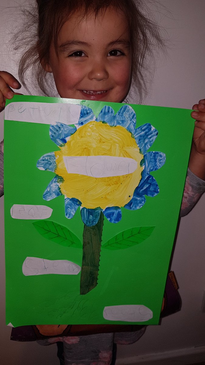 OriginalSHunter's tweet photo. Effie's flower she made and labelled @CwmbachPri https://t.co/6gvQjbFpa4