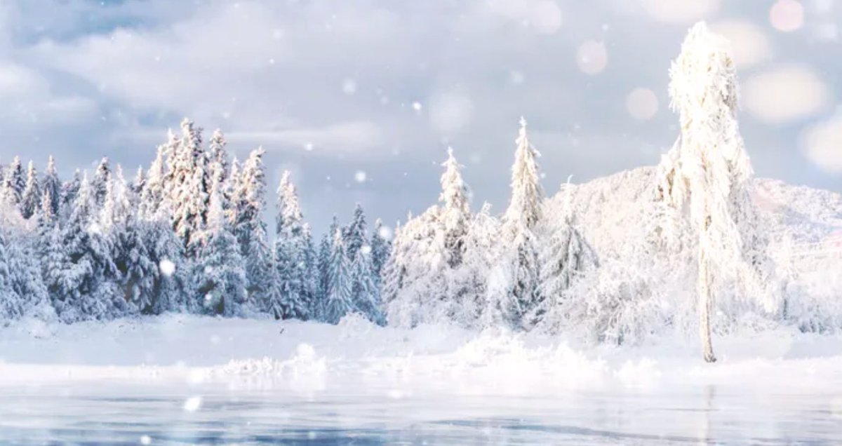 Month Day Year tweet media