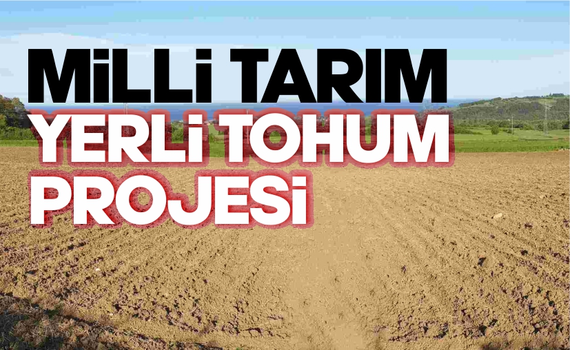 boyabatsesi.com/bolge-haber/mi…