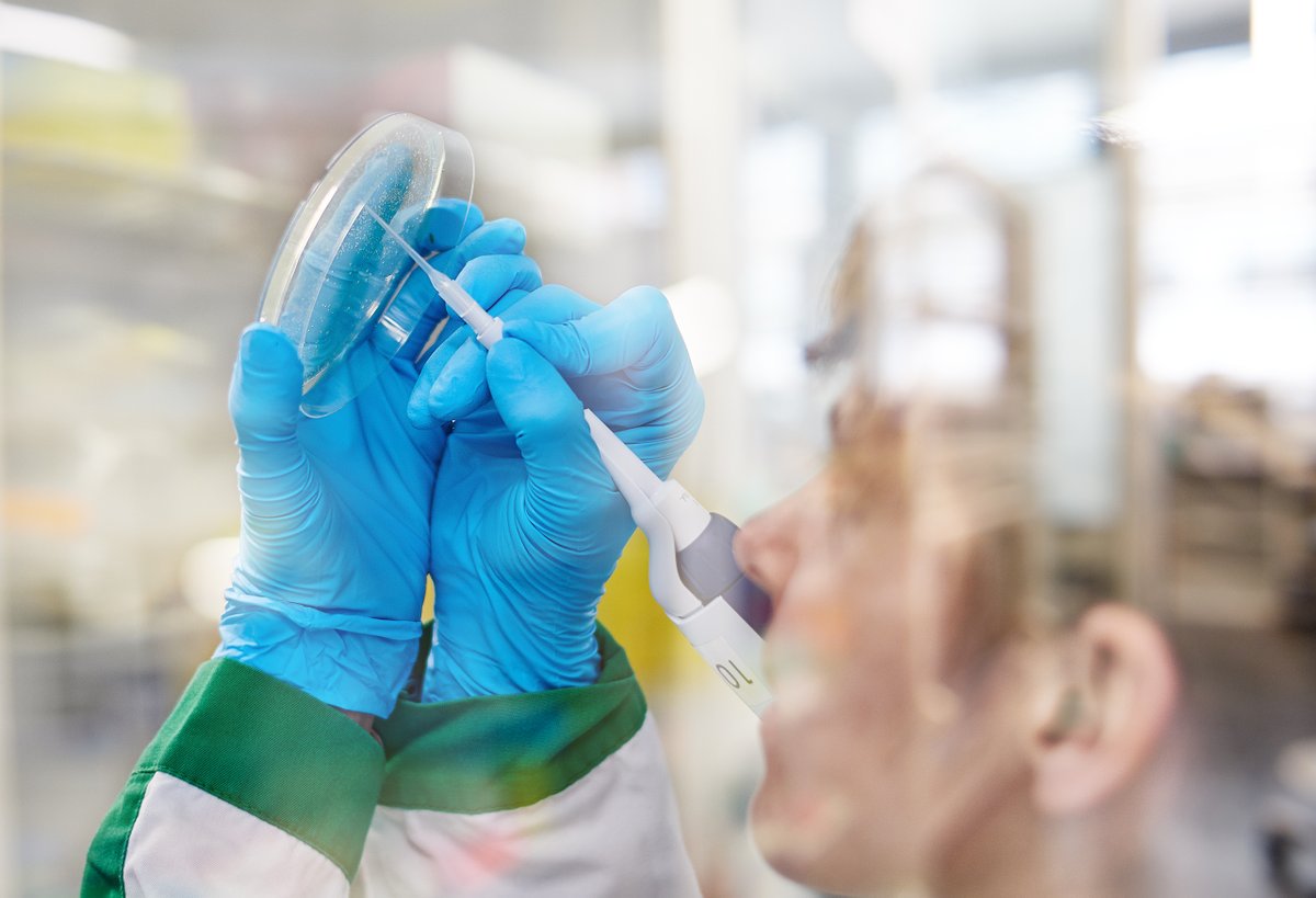 FondationBotnar's tweet photo. The Botnar Research Centre for Child Health (BRCCH) has announced their selected research projects under their Fast Track Call for projects to address the critical global health challenges.

We're pleased to be supporting these new projects, learn more ➡️ https://t.co/A5Xabqw2jq https://t.co/cHPESBDkr2