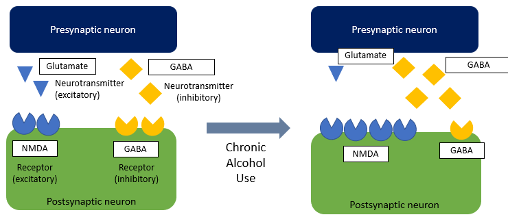 BostonChiefs's tweet photo. Things get molecular in today's virtual #amreport. Chief @reesezach3 discusses changes in the brain in chronic alcohol use as teams discuss different treatment options. #meded https://t.co/RlA1Ksdtpb