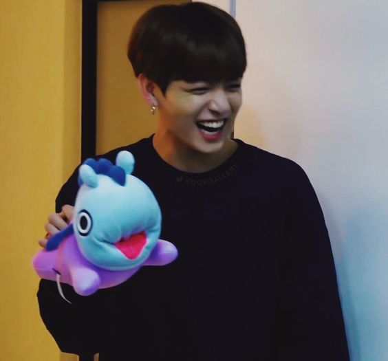 jungkook loves plushies