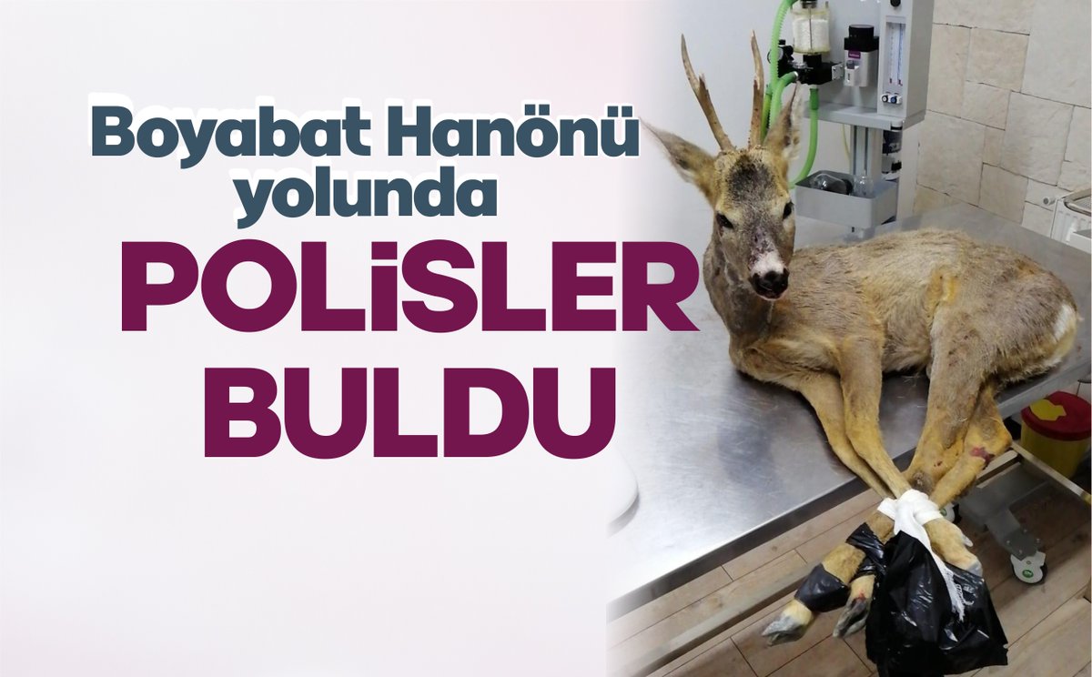 boyabatsesi.com/bolge-haber/ya…