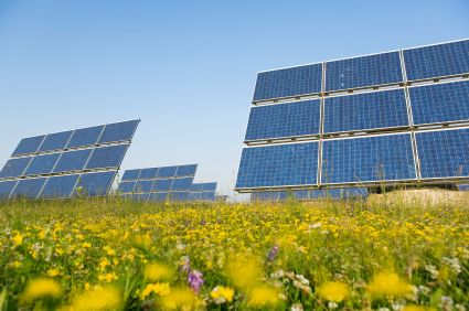 Umweltschutz umfasst alle Tätigkeiten, die dazu beitragen, schädliche Umweltbelastungen zu reduzieren und die Umwelt langfristig zu erhalten.  Erfahre hier mehr über "Grüne Berufe" für Akademiker 🧐 buff.ly/2xDOk0K