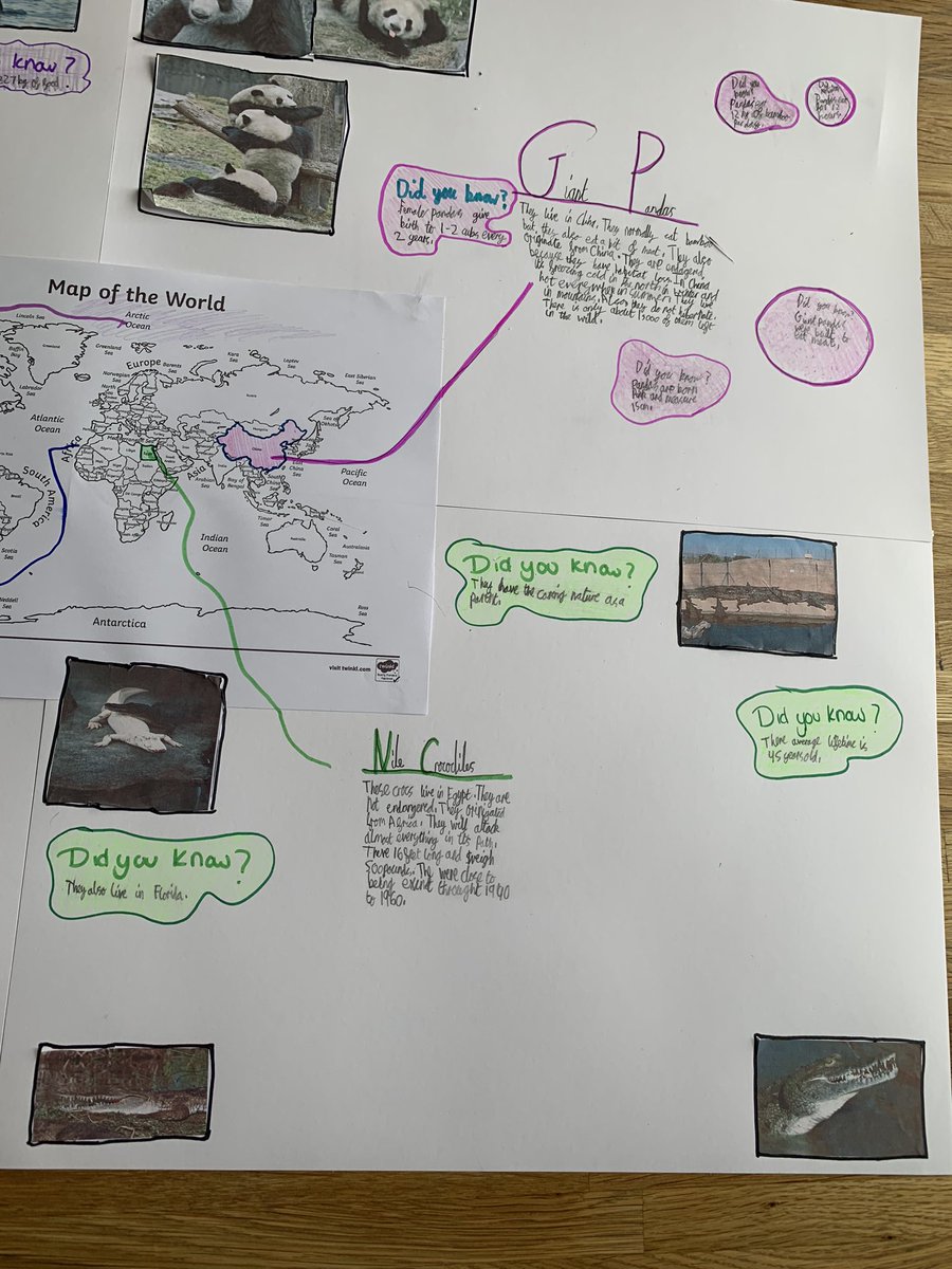 vicky_beaman's tweet photo. @MrCapener Mason made a giant poster with animal facts and map to show where they are from https://t.co/hOLNhnTlZe