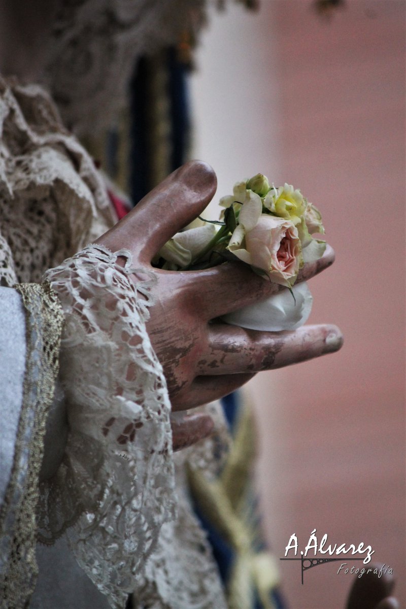 antalvgom_'s tweet photo. 📆#TalDíaComoHoy Hace un año (2019), Ntra. Sra. de los Ángeles realizó un Rosario Extraordinario que culminó en la Parroquia de San Roque y que dio inicio a los actos de su Coronación Pontificia @Hdadlosnegros  #ÁngelesCoronación #ReinaySeñoraNuestra #AAlvarezFotografía https://t.co/2kGF4lssAj
