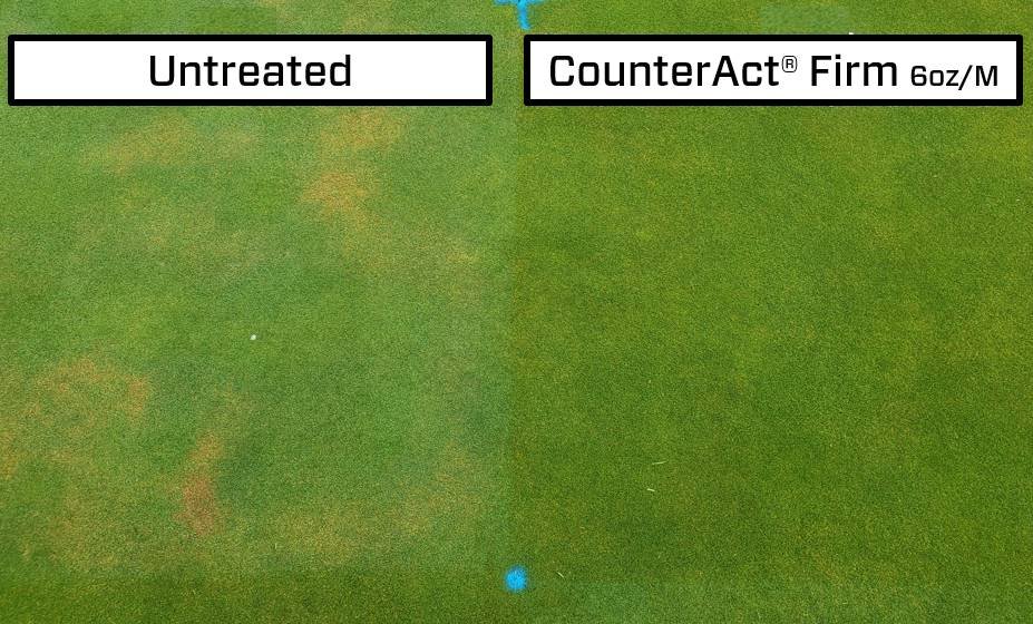 SimplotTurf's tweet photo. Tis' the season! Stay ahead of #LocalizedDrySpot on your greens with a good wetting agent program like #CounterActFirm from our #SurfPack

https://t.co/6kcfDBsVTX

 #PerformancePack #PartnerUp https://t.co/Oh0EdM8eXi