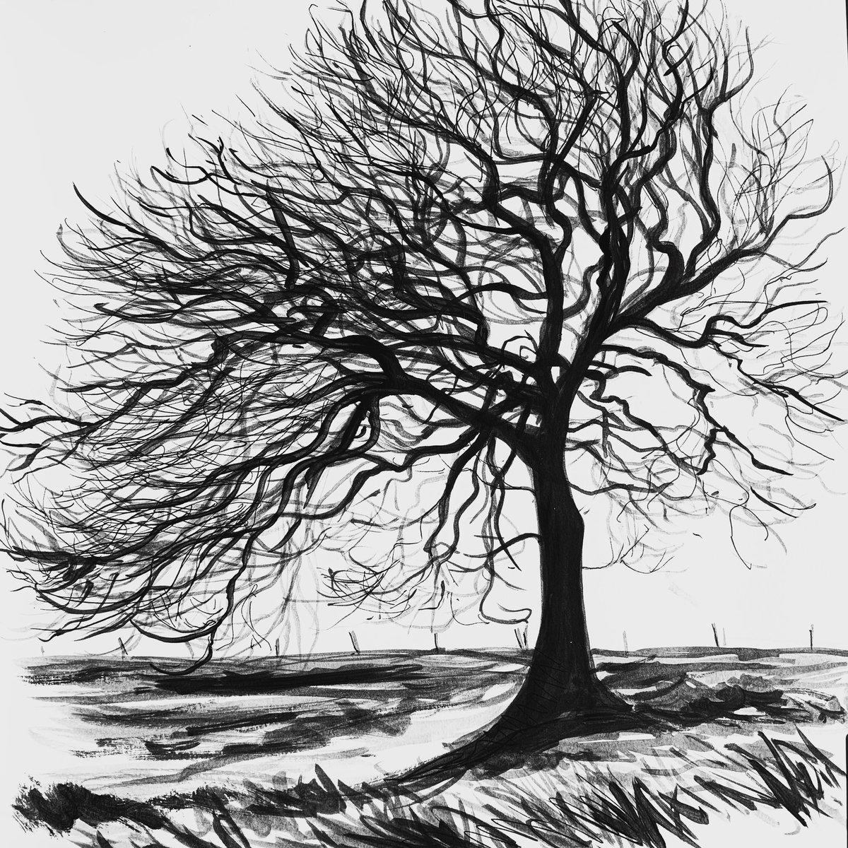 tweetingpainter's tweet photo. #IsolationDrawing #Winter #Tree from the #RiverBlyth Valley #InkAndPaintDrawing #KeepCalmAndKeepDrawing https://t.co/E4IMzh8PfR