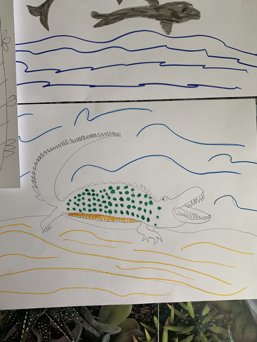 vicky_beaman's tweet photo. @3sTheMagicNumb1 Eviie drawed some pictures of animals and read some facts about each one. She as also done some online learning and wrote a diary of a dog https://t.co/lEBB4Wt5jv