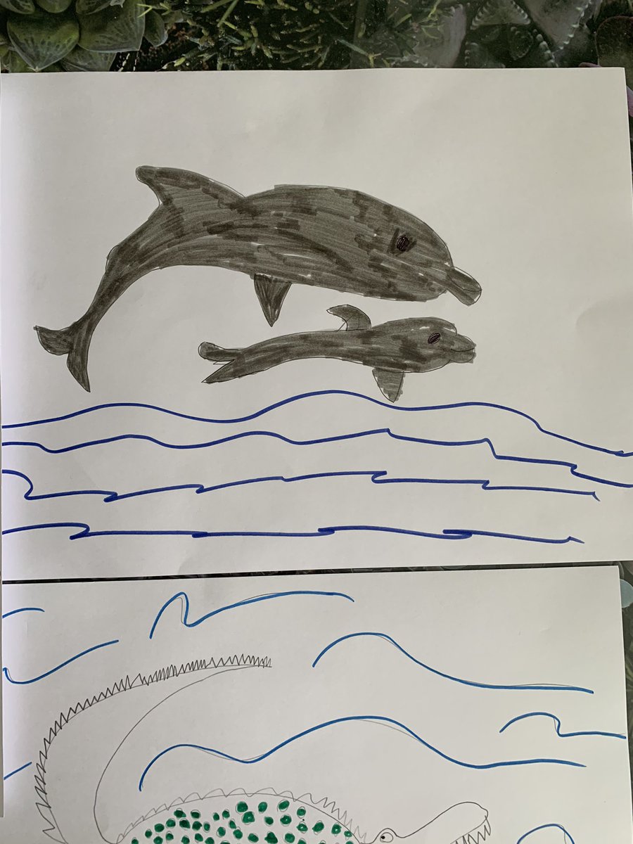 vicky_beaman's tweet photo. @3sTheMagicNumb1 Eviie drawed some pictures of animals and read some facts about each one. She as also done some online learning and wrote a diary of a dog https://t.co/lEBB4Wt5jv