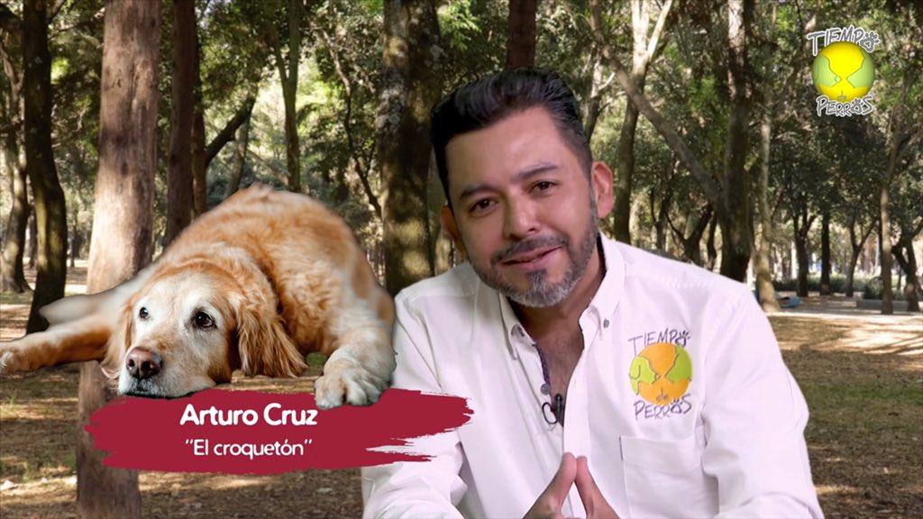elcroqueton's tweet photo. GERIATRIA EN PERROS | Que hacer cuando mi perro sea viejito. Consejos de Veterinarios 👉🏻  https://t.co/PkFkIgvBUK vía @YouTubeMexico https://t.co/jiurAW55Cx
