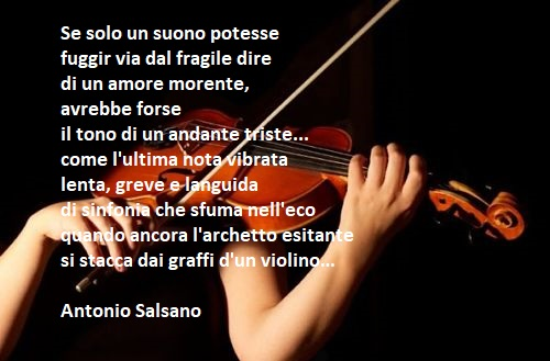 RosariaSalsano's tweet photo. @salsano https://t.co/rDI0puZhea