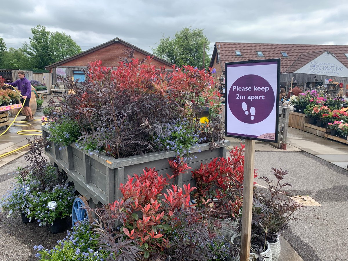 A great first day reopening, with lots of lovely customers who we were delighted to welcome back. <a href="/BBCNews/">BBC News (UK)</a> were here to film as we opened our doors, so look out for us on the news this evening at 6pm and 10pm! #theexperienceisgrowing #gardencentres