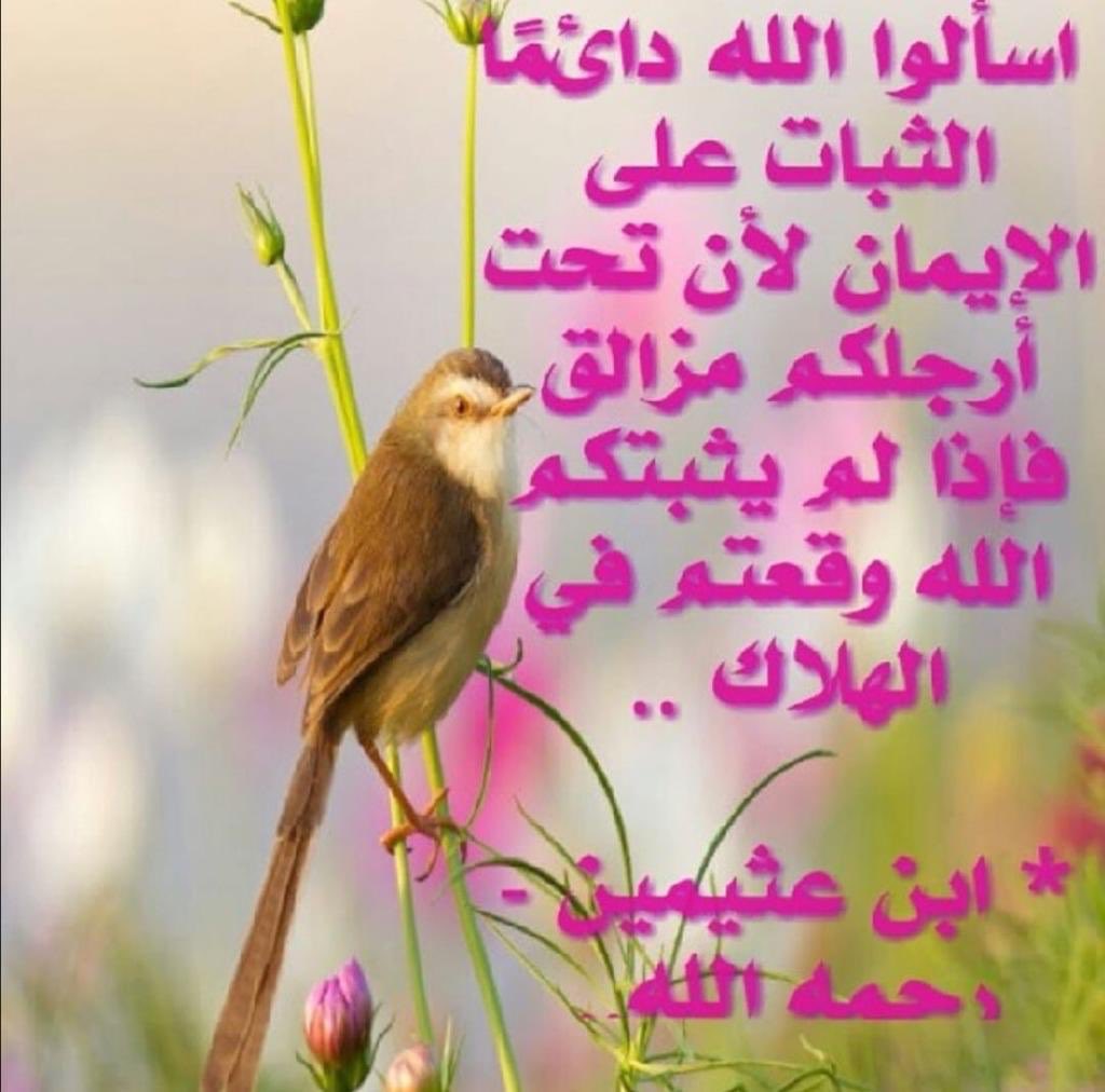 fato (@fato98861725) on Twitter photo 