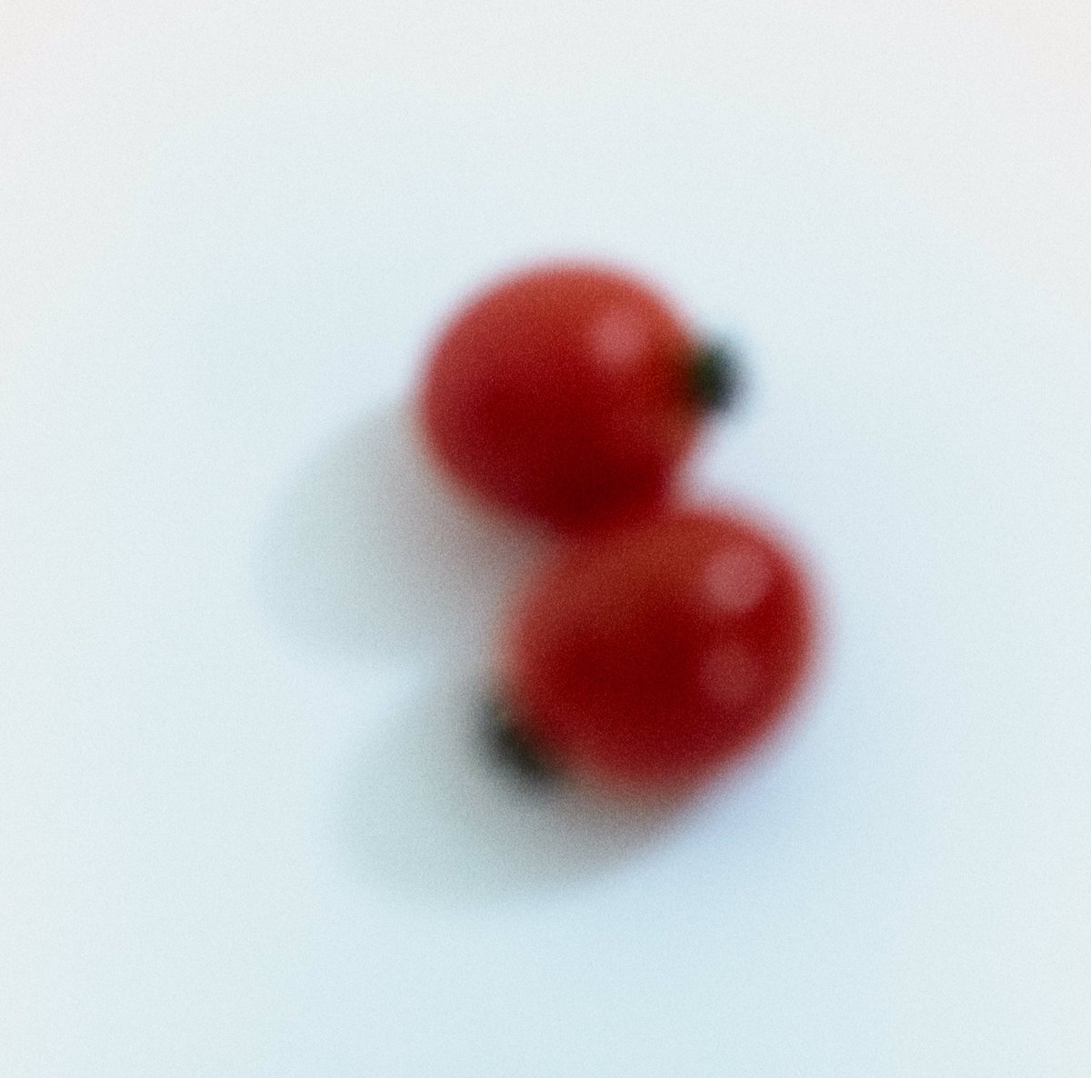 ToshihiroAchi's tweet photo. small world.
#coregraqhy
#生活と写真
#撮ることはよく観ること
#アチトシヒロ https://t.co/AFvmSUaJlF