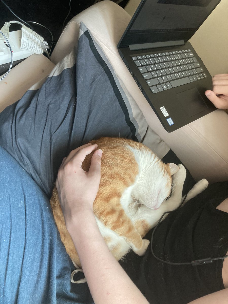 All our learners need support during these challenging times! We need to paws for a minute and see how we are feline-g. Be sure to give yourself a pet on the back. You are doing great! #JCDYear10 #JCDYear9 #InThisTogetherDubai #gemscomingtogether #JCDhomelearning #JCDcommunity