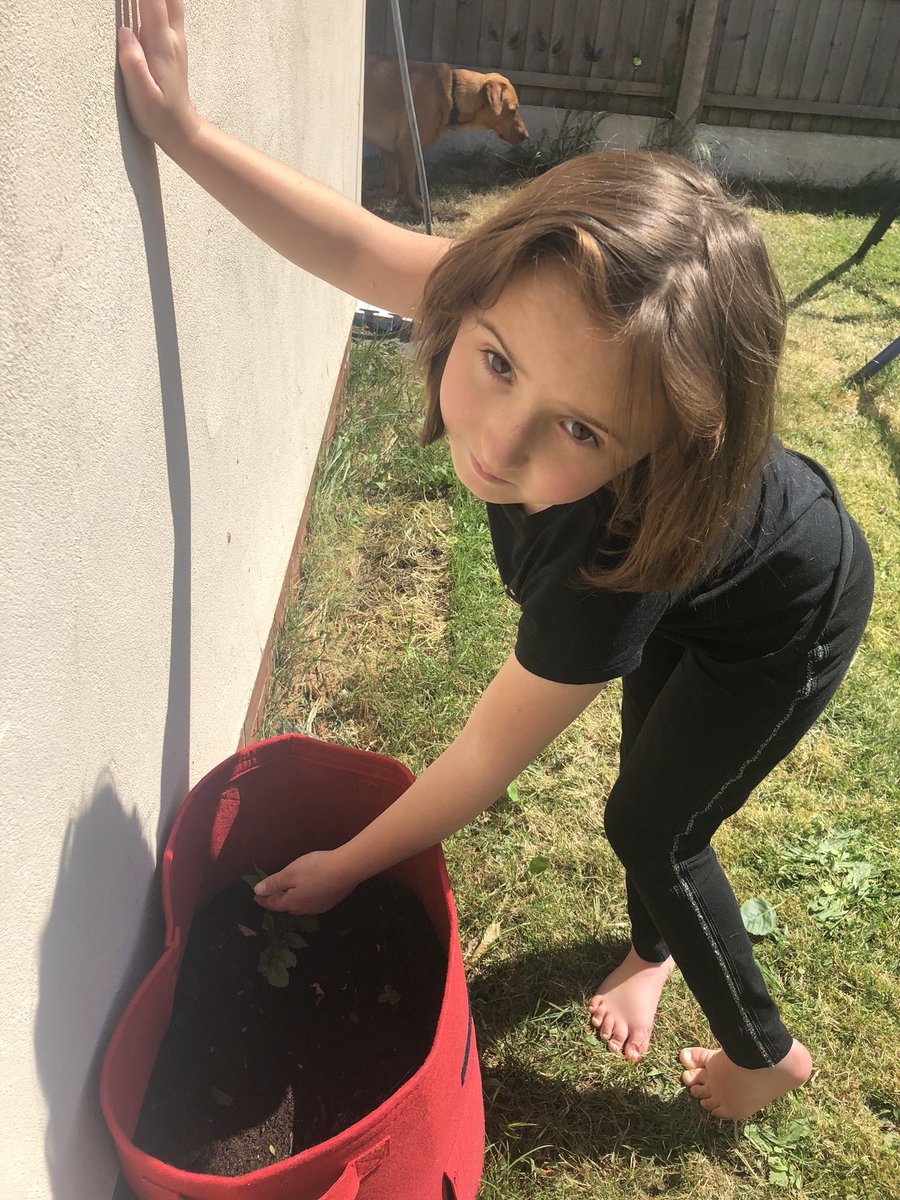 Clare Gibbs tweet media