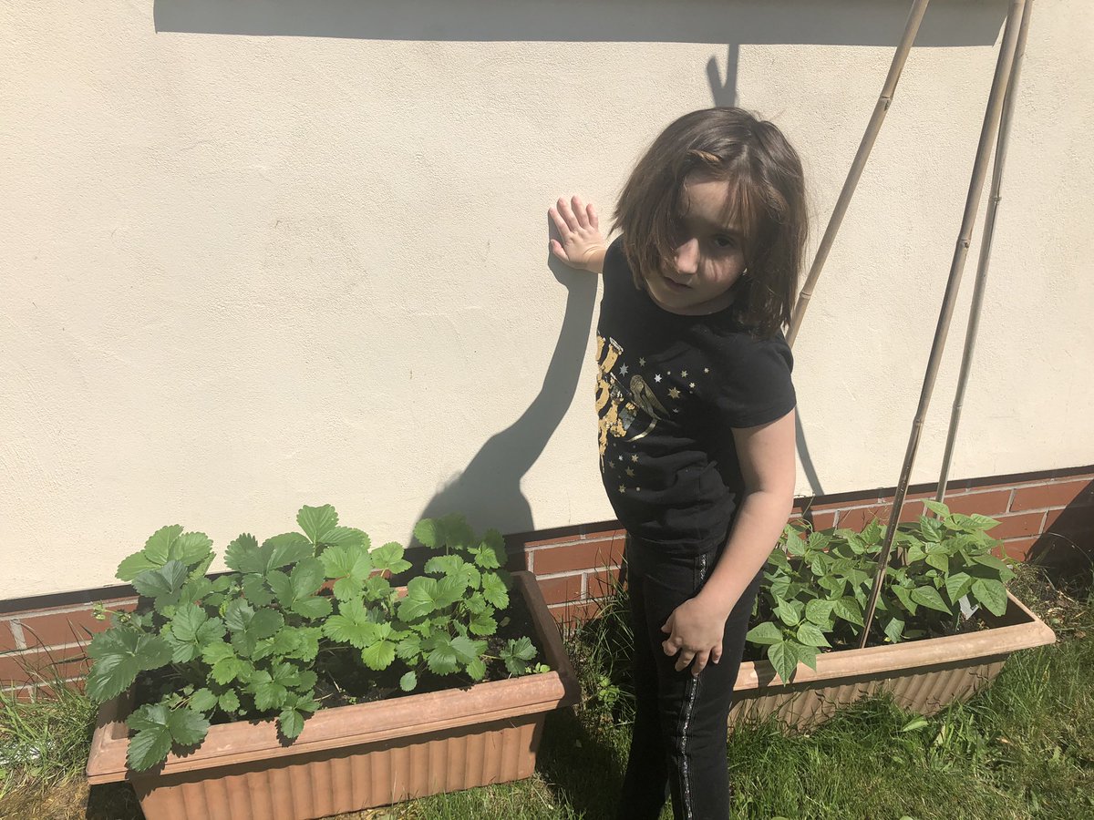 Clare Gibbs tweet media