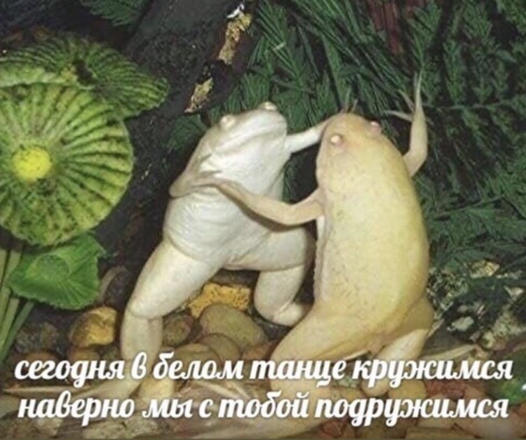 ee_vera's tweet photo. https://t.co/Gs4Ls2SIEl